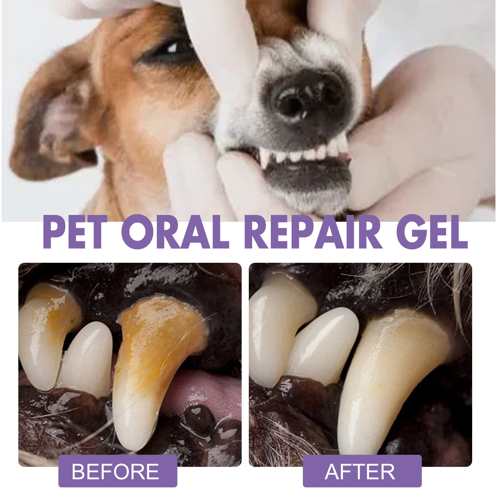Gel de réparation orale pour a - Teeth Whitening Before And After avis et prix